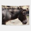 Closeup Of Mule Arizona Tapestry Official Jackass Merch Store