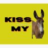 Kiss My | Jackass Tapestry Official Jackass Merch